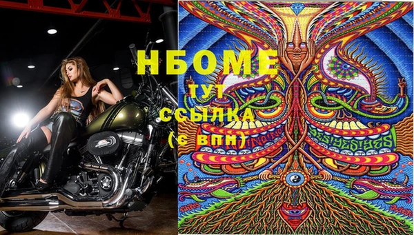 PSILOCYBIN Абдулино