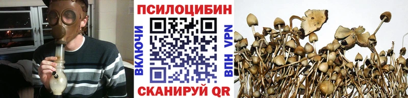 Псилоцибиновые грибы Psilocybe  blacksprut рабочий сайт  Алапаевск 