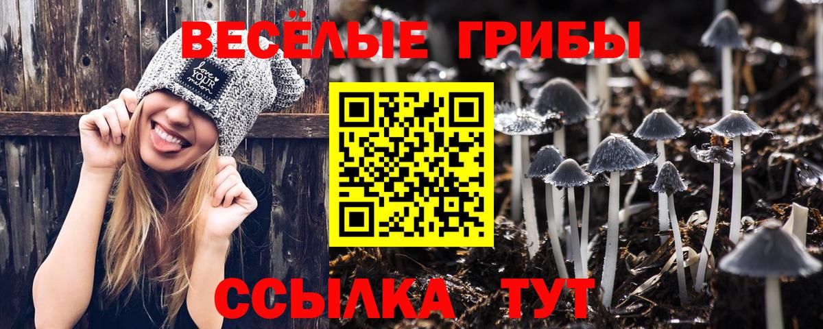 Псилоцибиновые грибы GOLDEN TEACHER  Галлюциногенные грибы Psilocybine cubensis  Алапаевск  купить наркоту  Вход с VPN 