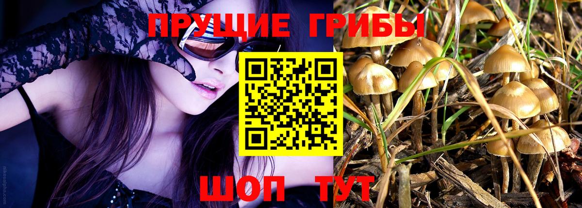 Галлюциногенные грибы MAGIC MUSHROOMS Алапаевск